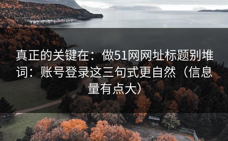 真正的关键在：做51网网址标题别堆词：账号登录这三句式更自然（信息量有点大）