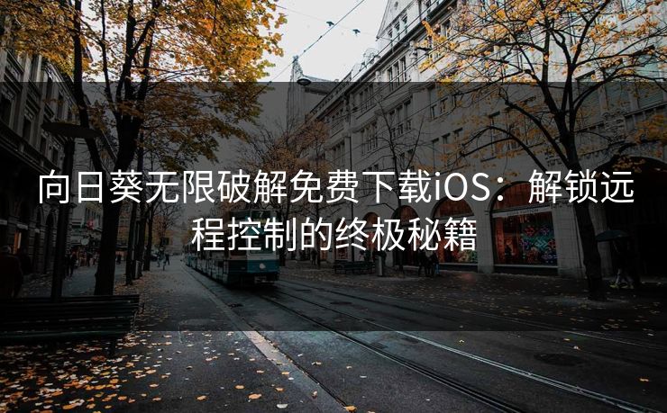 向日葵无限破解免费下载iOS：解锁远程控制的终极秘籍