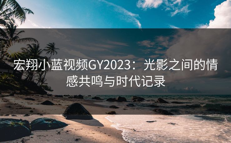 宏翔小蓝视频GY2023：光影之间的情感共鸣与时代记录