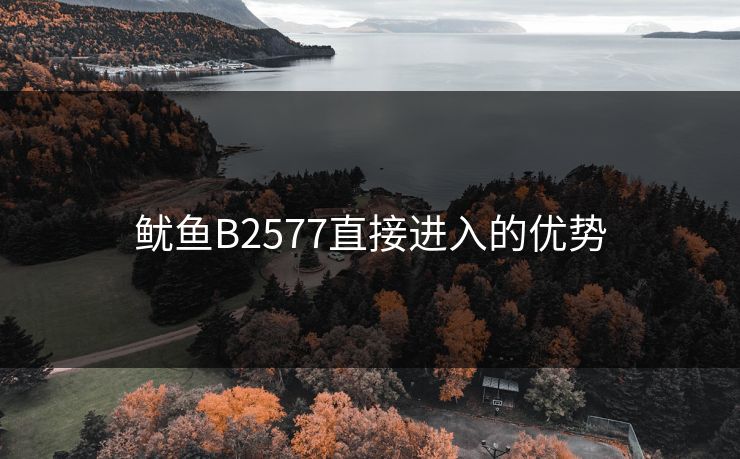 鱿鱼B2577直接进入的优势