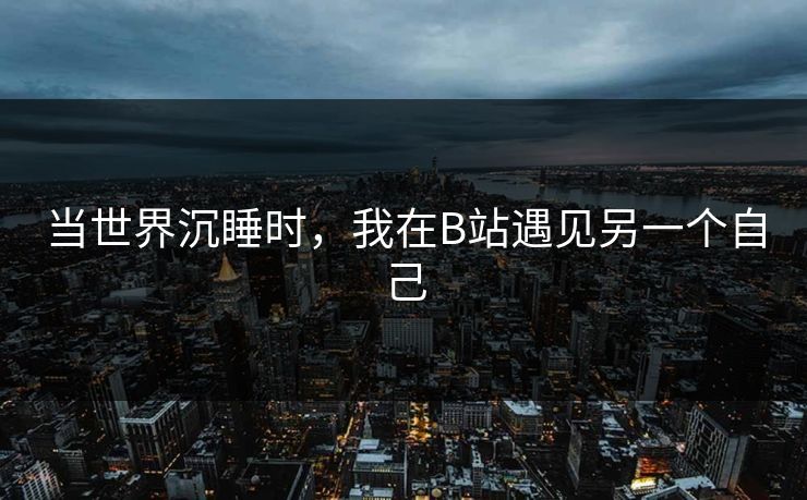 当世界沉睡时，我在B站遇见另一个自己