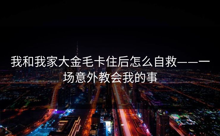 我和我家大金毛卡住后怎么自救——一场意外教会我的事