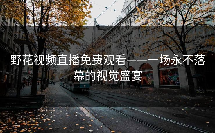 野花视频直播免费观看——一场永不落幕的视觉盛宴